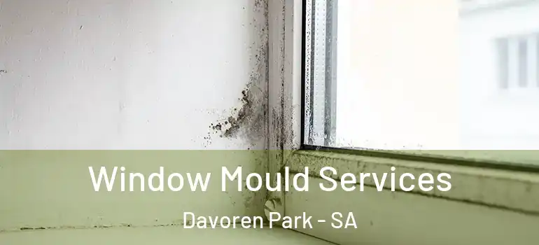 Window Mould Services Davoren Park - SA