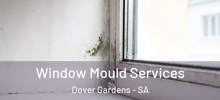 Window Mould Services Dover Gardens - SA