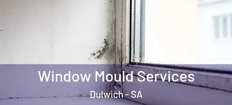 Window Mould Services Dulwich - SA