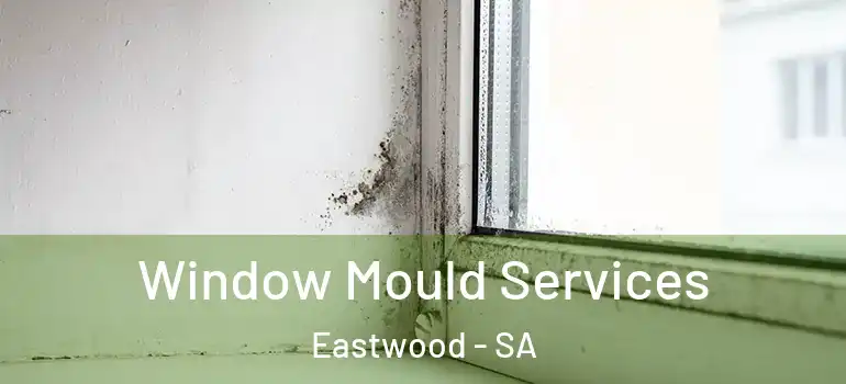 Window Mould Services Eastwood - SA