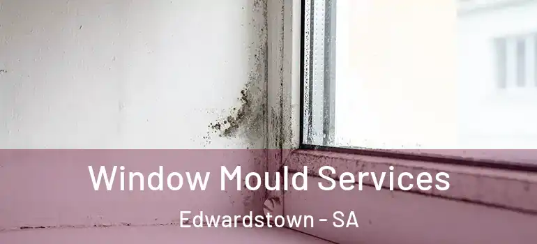 Window Mould Services Edwardstown - SA
