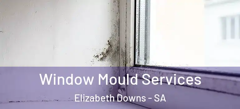 Window Mould Services Elizabeth Downs - SA