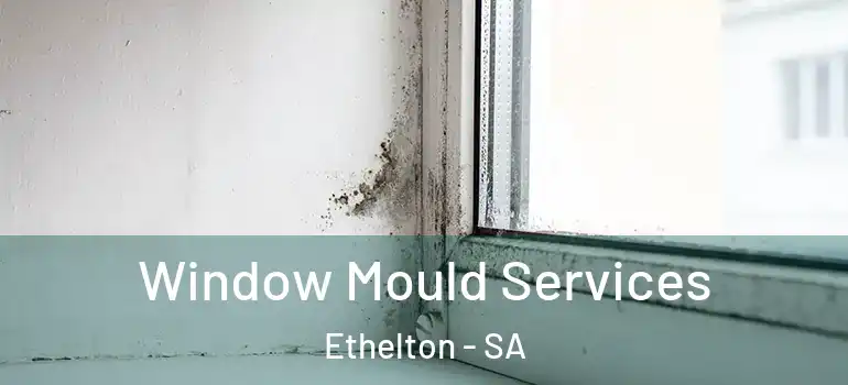 Window Mould Services Ethelton - SA