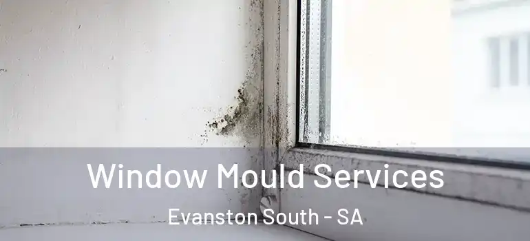 Window Mould Services Evanston South - SA