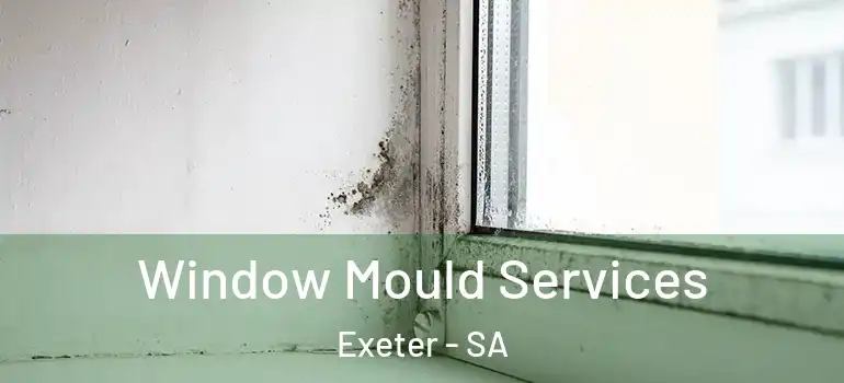Window Mould Services Exeter - SA