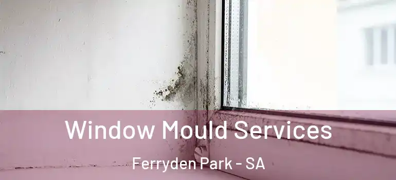 Window Mould Services Ferryden Park - SA