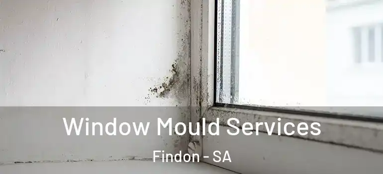 Window Mould Services Findon - SA