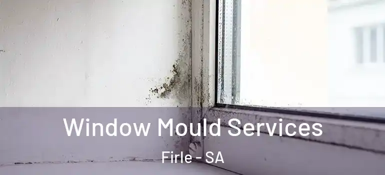 Window Mould Services Firle - SA