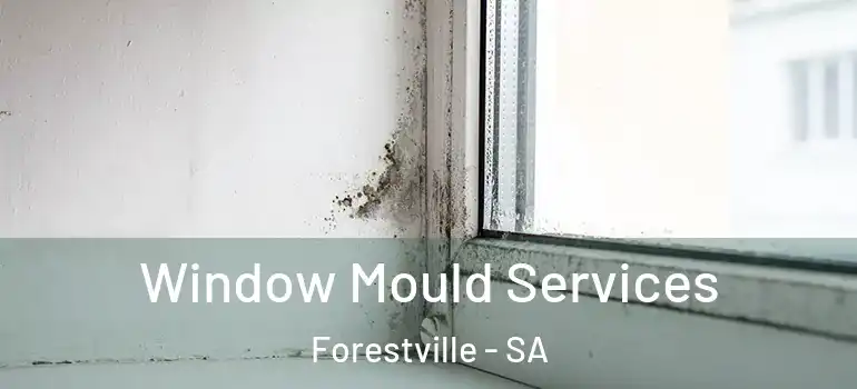 Window Mould Services Forestville - SA