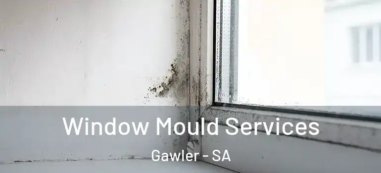 Window Mould Services Gawler - SA