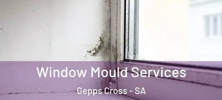 Window Mould Services Gepps Cross - SA