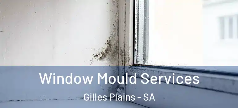 Window Mould Services Gilles Plains - SA