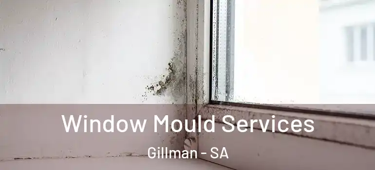 Window Mould Services Gillman - SA