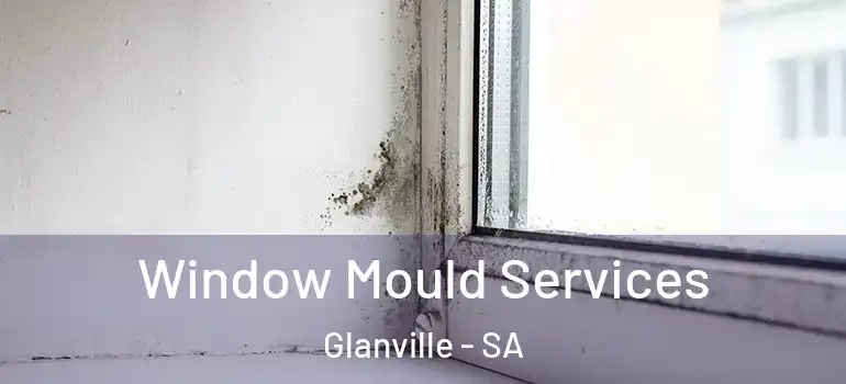 Window Mould Services Glanville - SA