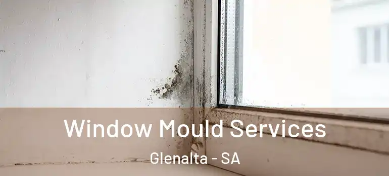 Window Mould Services Glenalta - SA