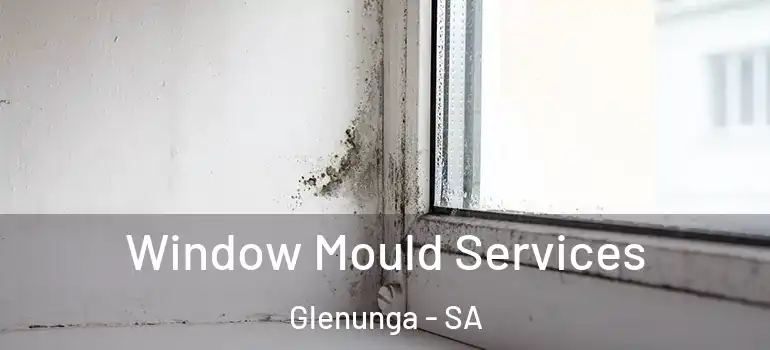 Window Mould Services Glenunga - SA