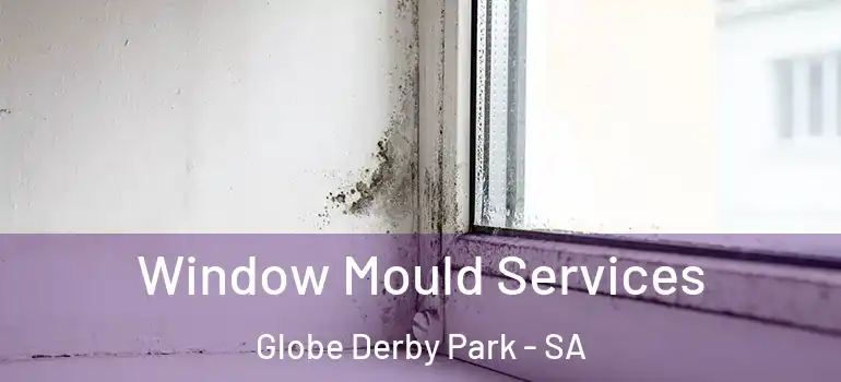 Window Mould Services Globe Derby Park - SA