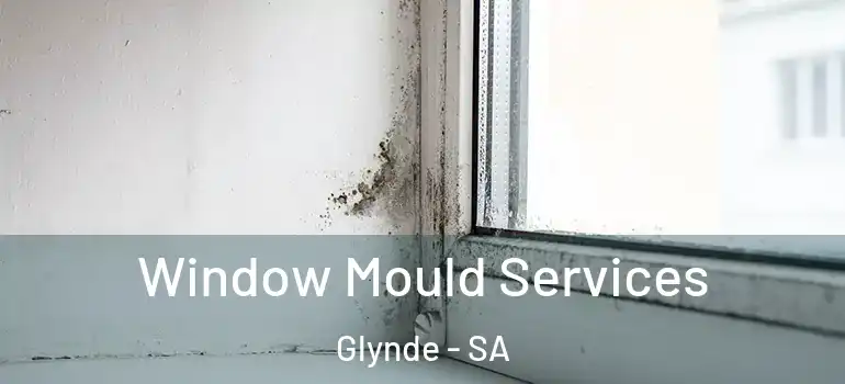 Window Mould Services Glynde - SA