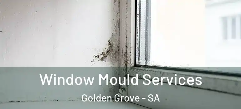 Window Mould Services Golden Grove - SA