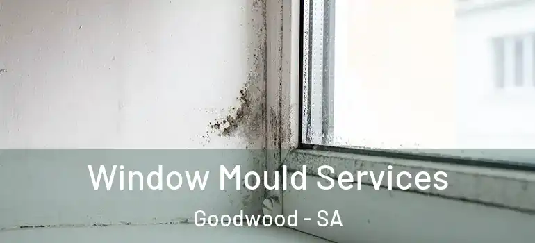 Window Mould Services Goodwood - SA