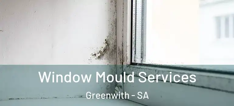 Window Mould Services Greenwith - SA