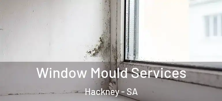 Window Mould Services Hackney - SA