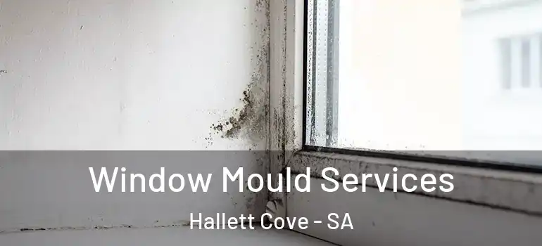 Window Mould Services Hallett Cove - SA