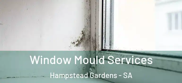 Window Mould Services Hampstead Gardens - SA