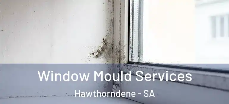 Window Mould Services Hawthorndene - SA