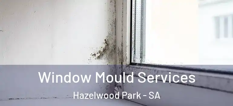 Window Mould Services Hazelwood Park - SA