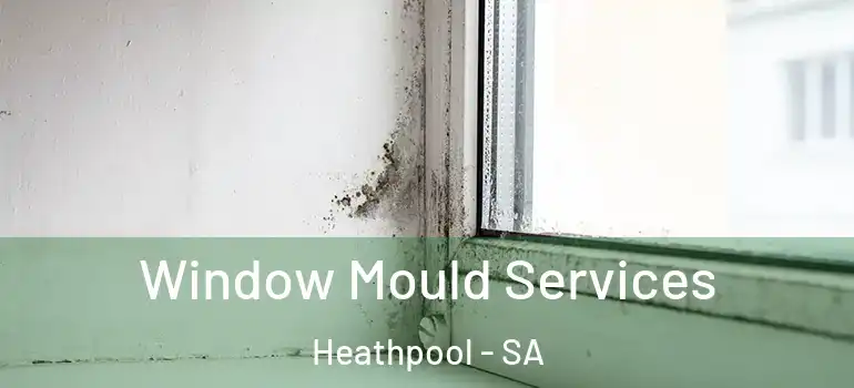 Window Mould Services Heathpool - SA