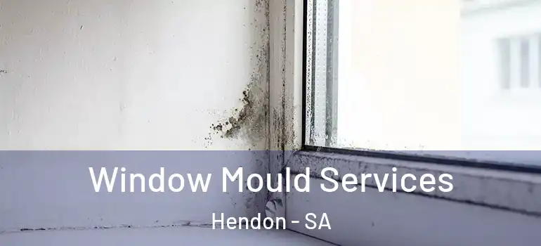 Window Mould Services Hendon - SA