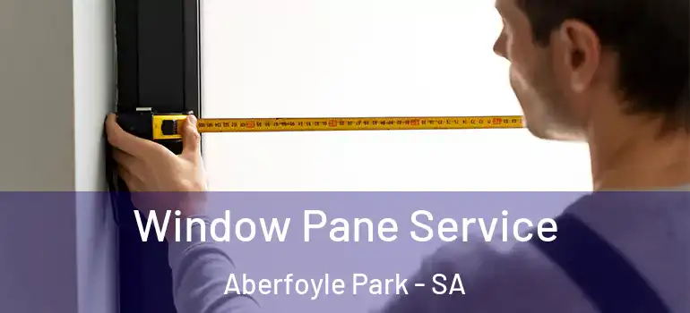 Window Pane Service Aberfoyle Park - SA