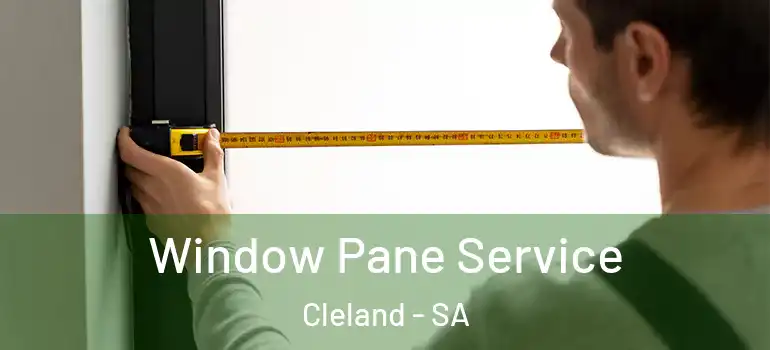 Window Pane Service Cleland - SA