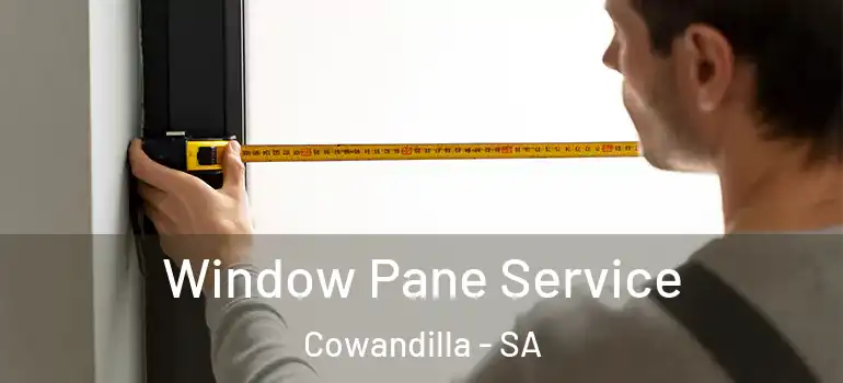 Window Pane Service Cowandilla - SA