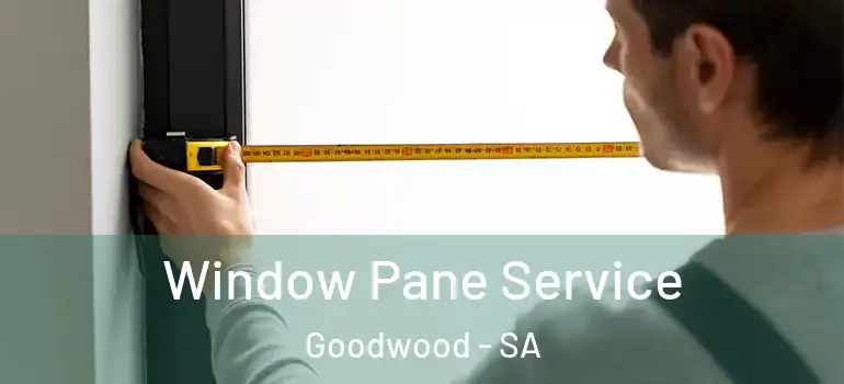 Window Pane Service Goodwood - SA