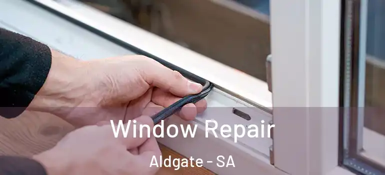 Window Repair Aldgate - SA