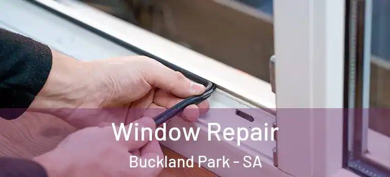 Window Repair Buckland Park - SA