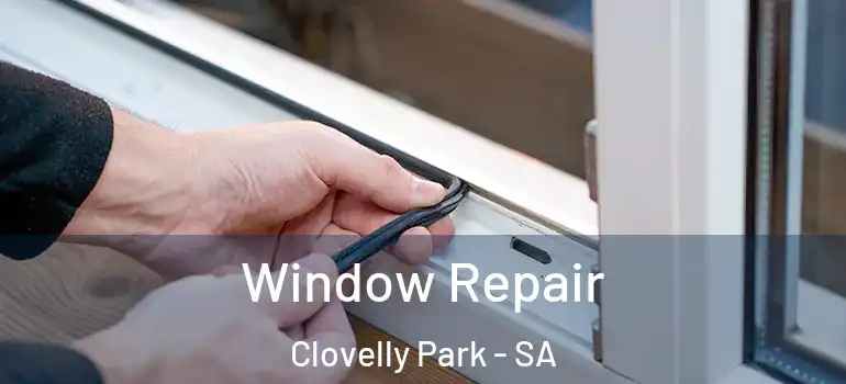 Window Repair Clovelly Park - SA