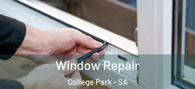 Window Repair College Park - SA