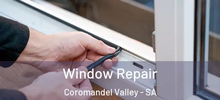 Window Repair Coromandel Valley - SA
