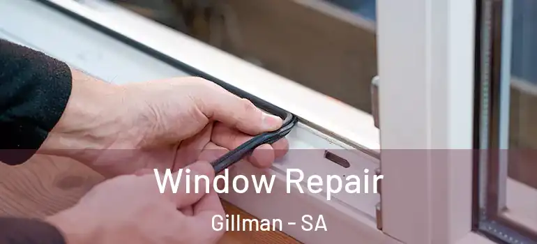 Window Repair Gillman - SA