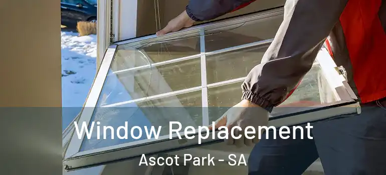 Window Replacement Ascot Park - SA