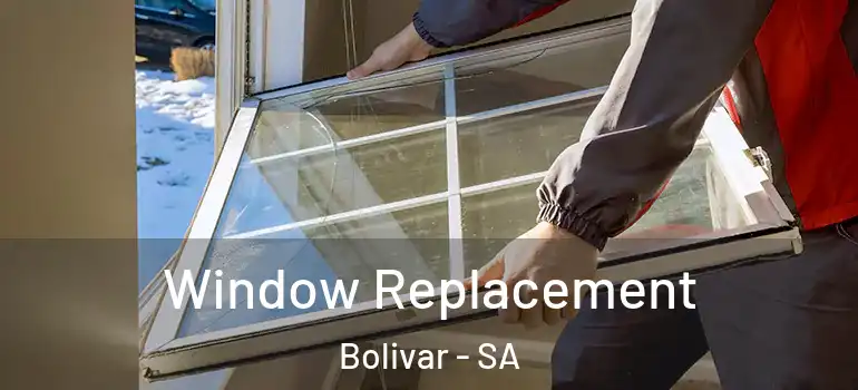 Window Replacement Bolivar - SA