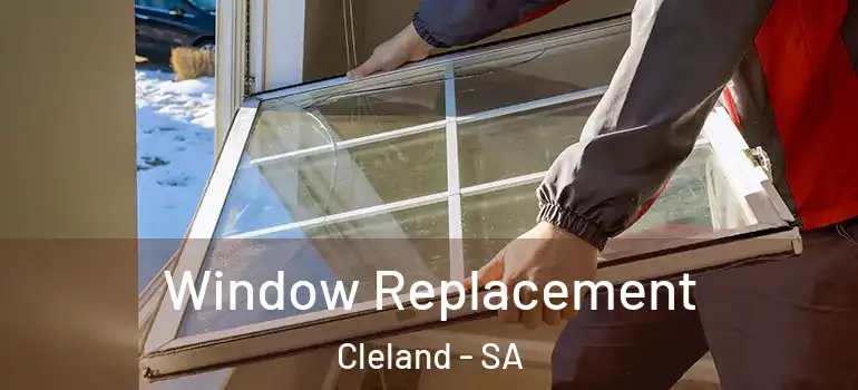 Window Replacement Cleland - SA