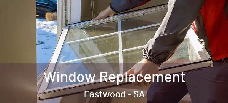 Window Replacement Eastwood - SA