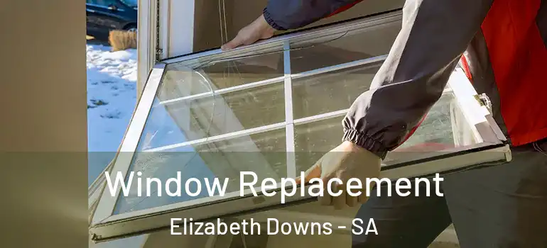 Window Replacement Elizabeth Downs - SA