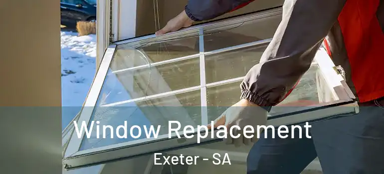 Window Replacement Exeter - SA