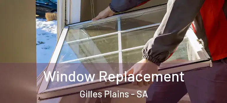 Window Replacement Gilles Plains - SA