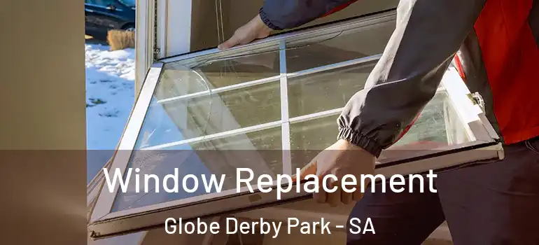 Window Replacement Globe Derby Park - SA